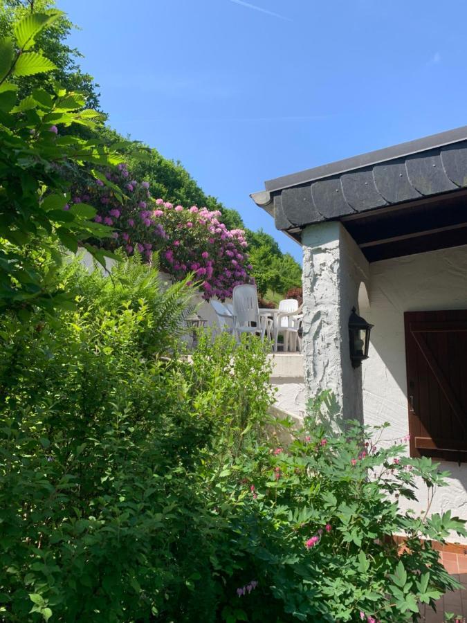 Vila Trusties Dirbach Exteriér fotografie